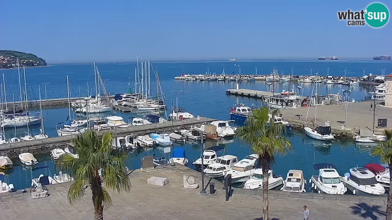 Il porto di Koper – Capodistria live webcam – porto crociere e mercantile – Slovenia