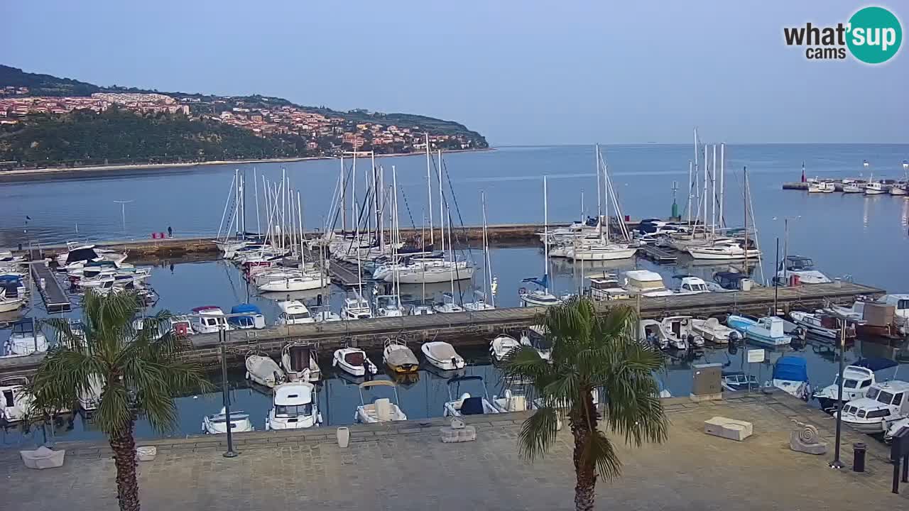 Web kamera Koper – marina i promenada – hotel Grand Koper