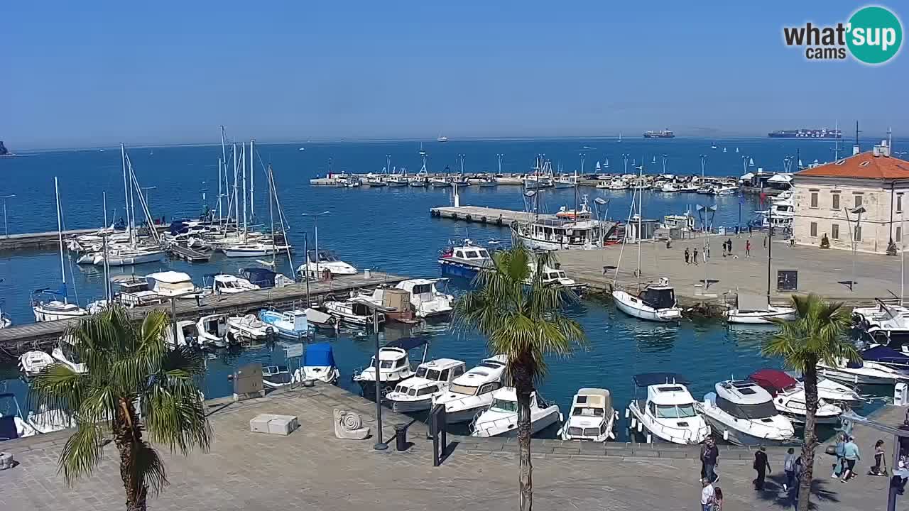 Web kamera Koper – marina i promenada – hotel Grand Koper