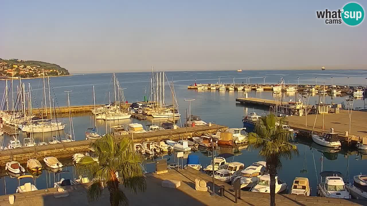 Livecam Koper – Ukmarjev trg