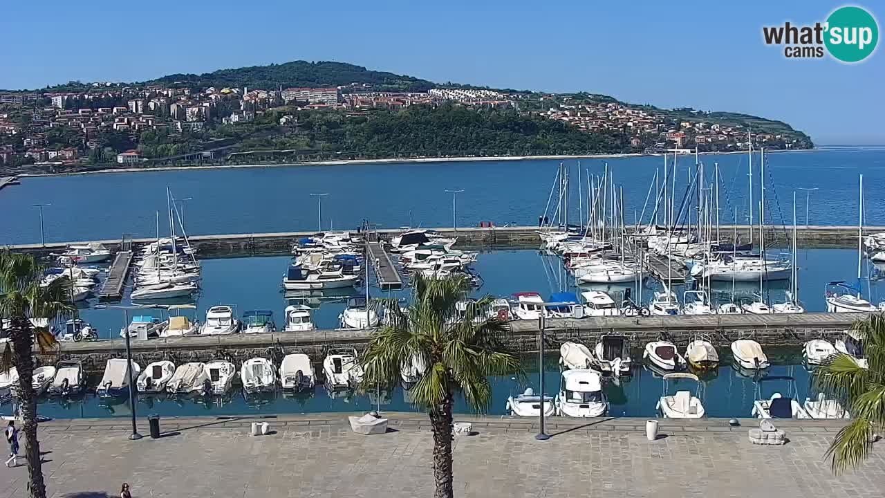 Webcam Koper – Panorama of the marina and promenade from the Grand Hotel Koper