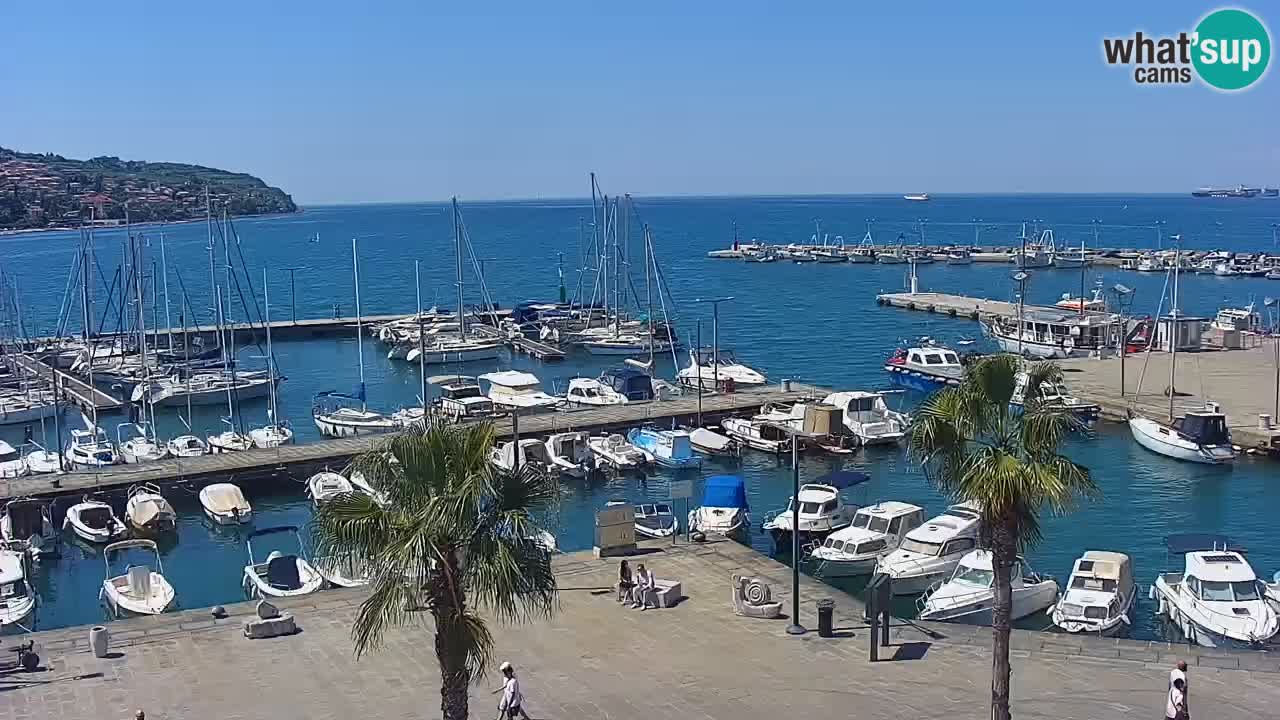 Spletna kamera Luka Koper v živo – Potniški terminal in tovorno pristanišče – Slovenija