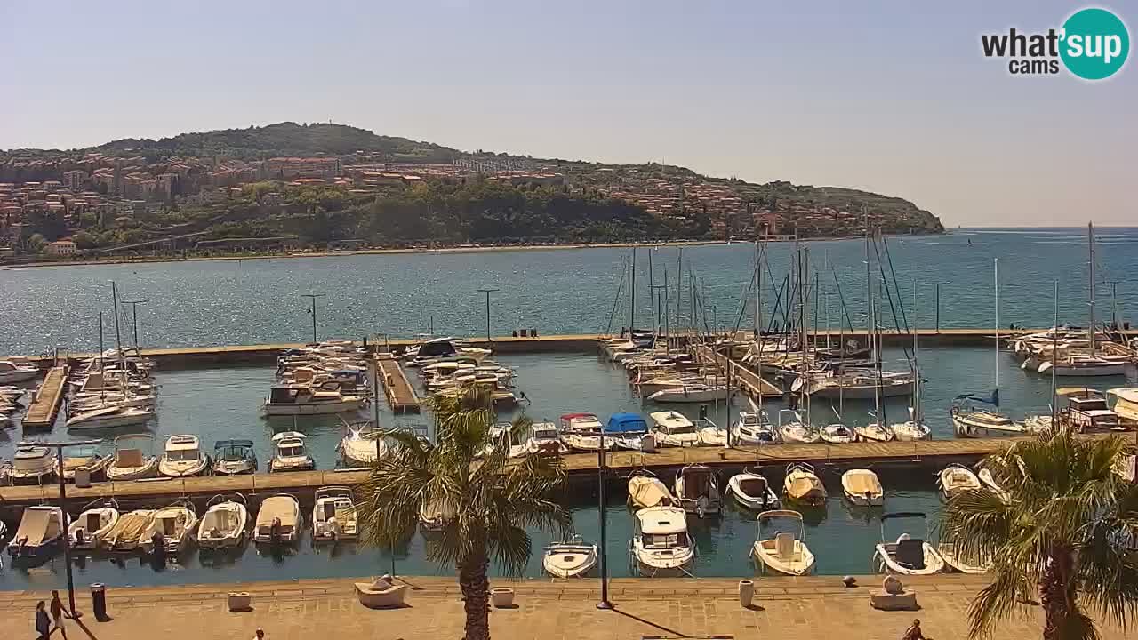 Webcam Koper – Panorama des Jachthafens und der Promenade vom Hotel Grand Koper