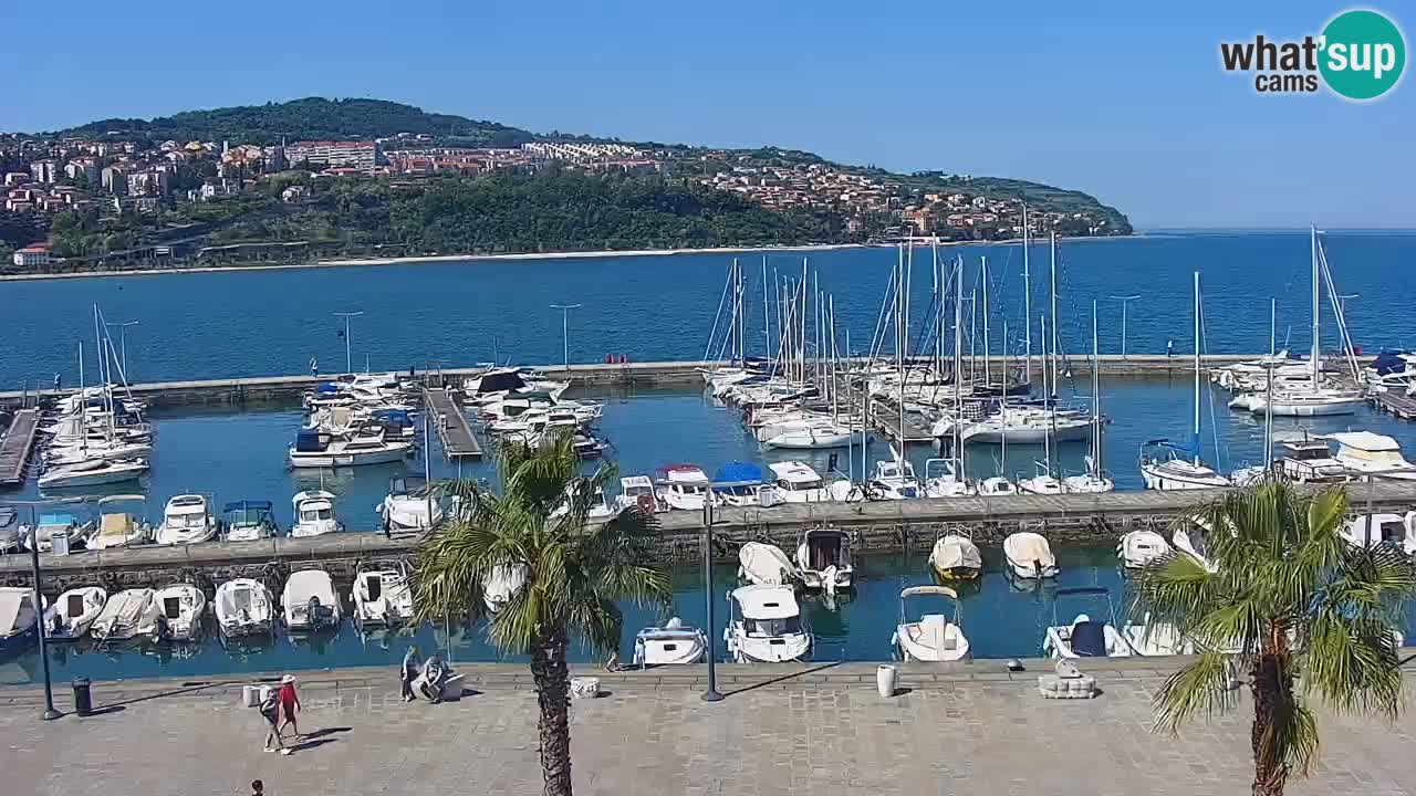 Der Hafen von Koper Live-Webcam – Kreuzfahrt- und Frachthafen – Slowenien