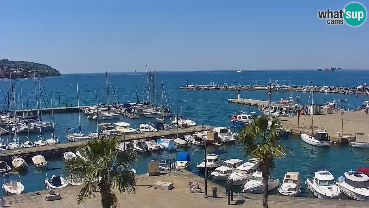 Spletna kamera Koper – Panorama na marino in promenado s Hotela Grand Koper