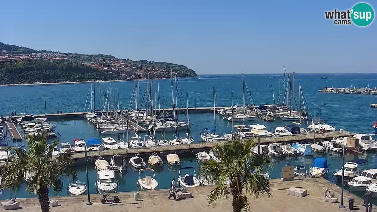 Livecam Koper – Ukmarjev trg