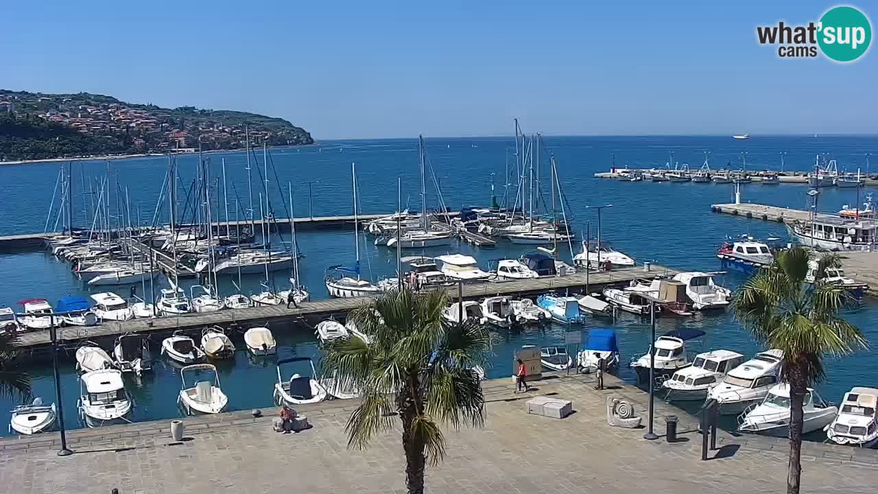 The Port of Koper live webcam – cruise and cargo port – Slovenia