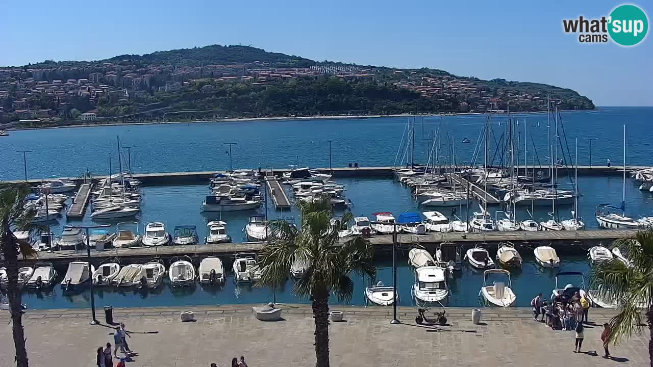 Web kamera Koper – marina i promenada – hotel Grand Koper
