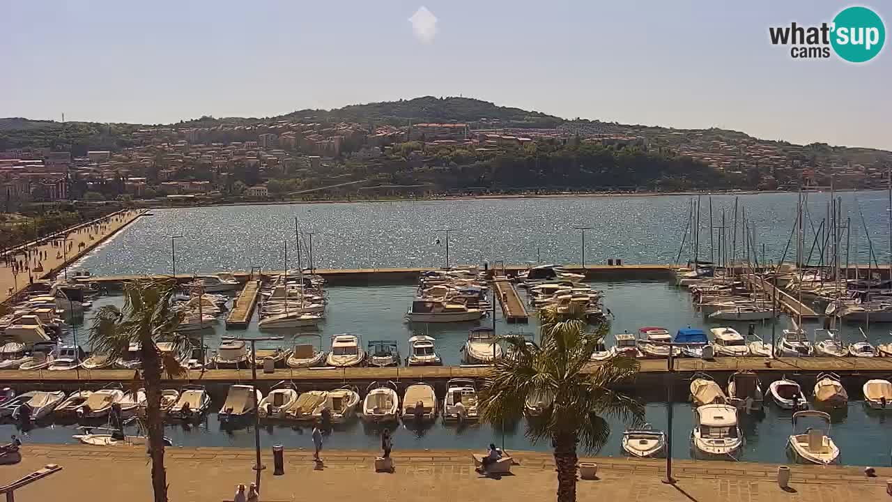 Der Hafen von Koper Live-Webcam – Kreuzfahrt- und Frachthafen – Slowenien