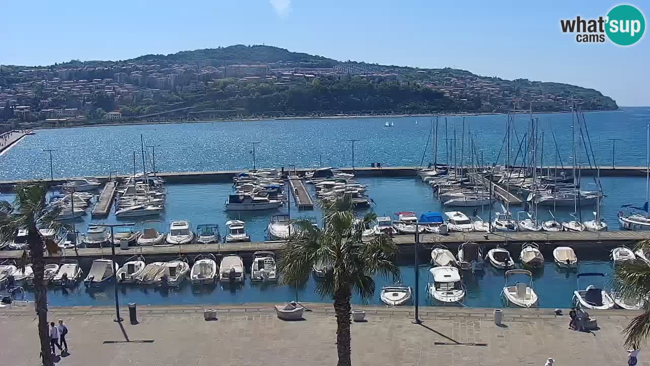 Live cam Koper – Ukmarjev trg