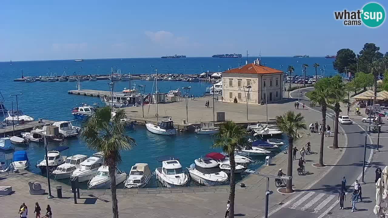 Web kamera Koper – marina i promenada – hotel Grand Koper