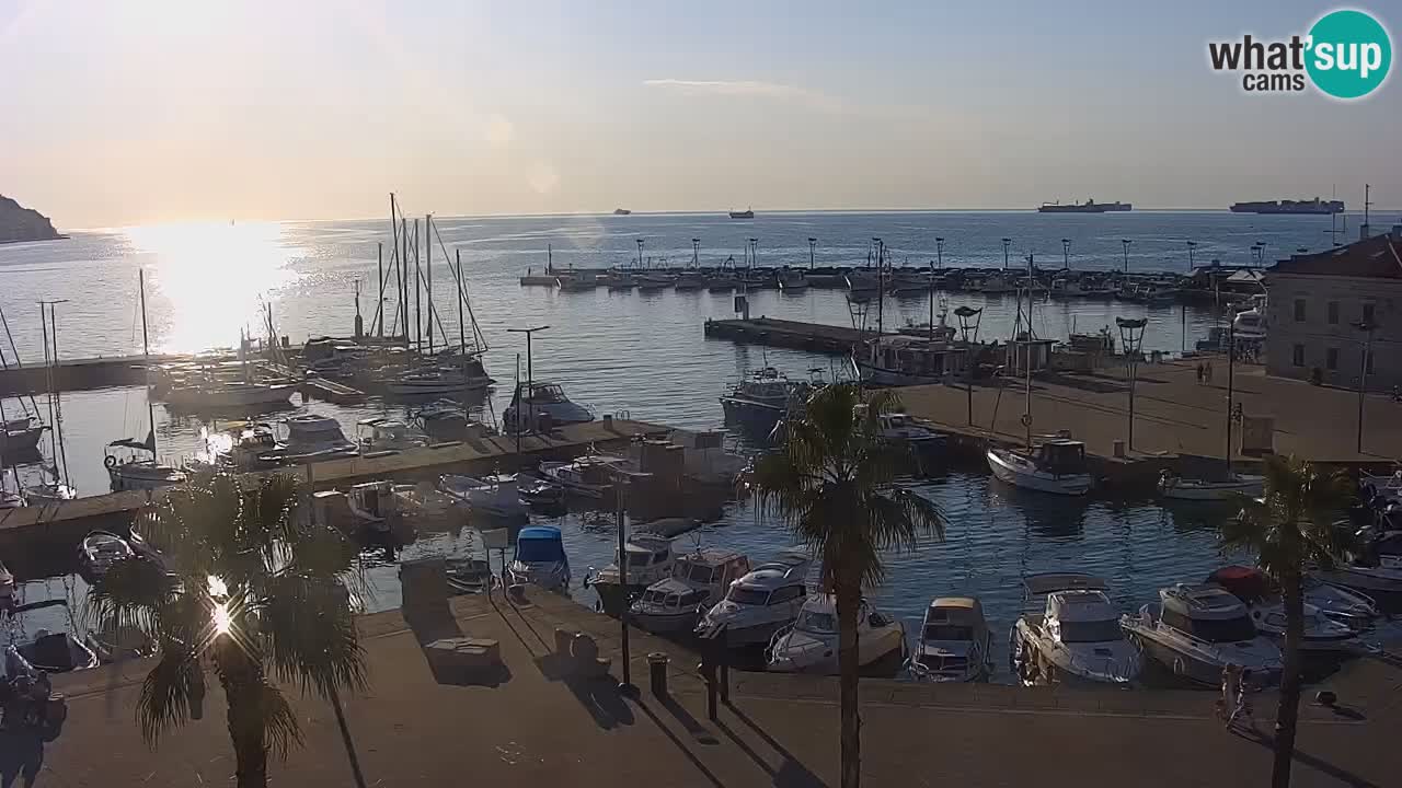 Livecam Koper – Ukmarjev trg