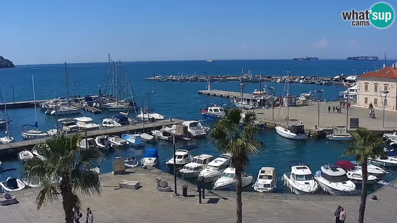 Livecam Koper – Ukmarjev trg