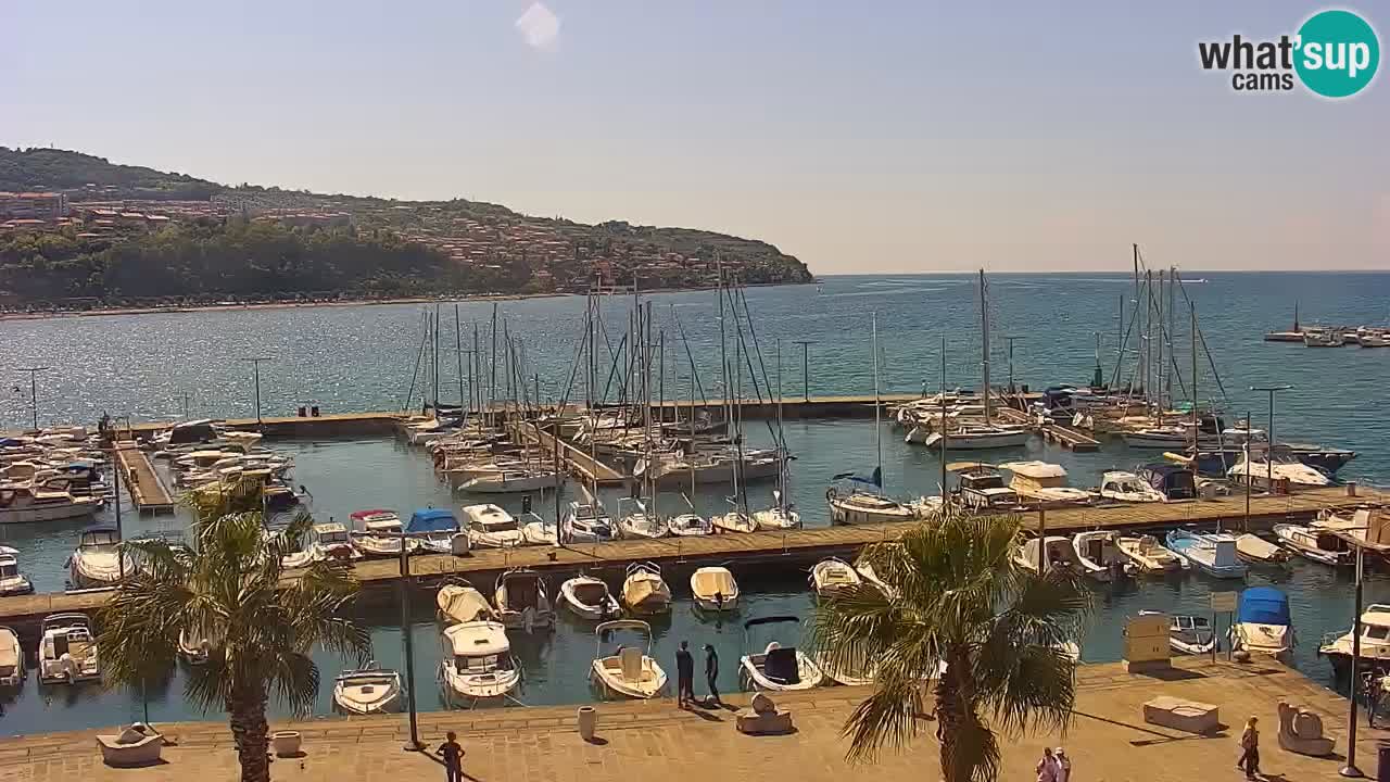 Luka Kopar uživo web kamera – Turistički terminal i teretna luka – Slovenija