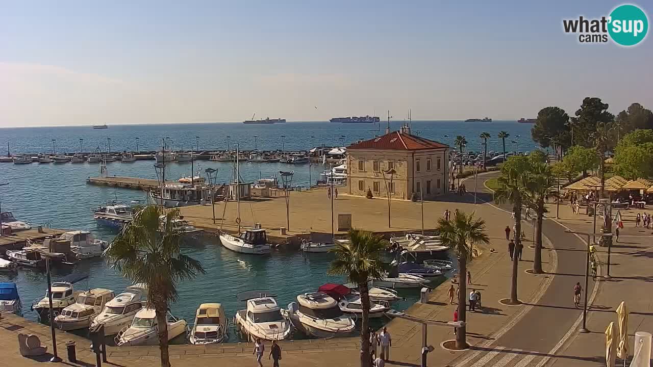 The Port of Koper live webcam – cruise and cargo port – Slovenia