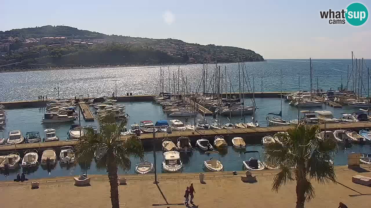 Webcam Koper – Panorama of the marina and promenade from the Grand Hotel Koper