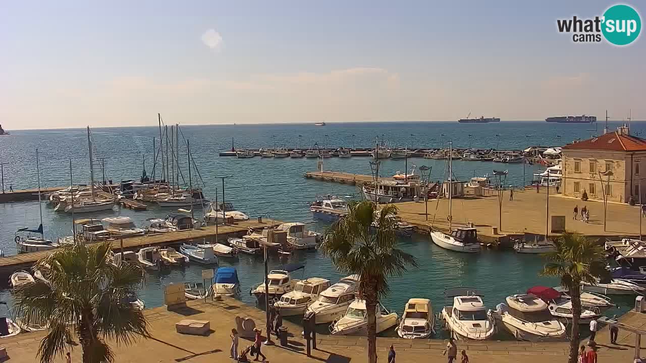 Web kamera Koper – marina i promenada – hotel Grand Koper