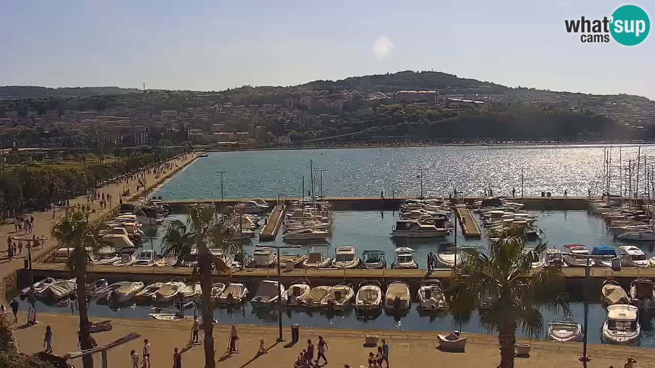 Camera en vivo Koper – puerto deportivo y paseo marítimo desde el Hotel Grand Koper
