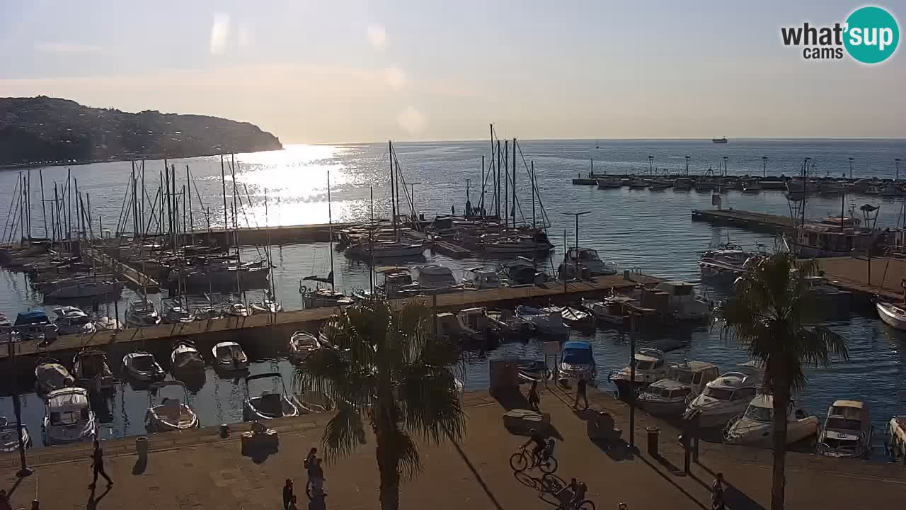 Web kamera Koper – marina i promenada – hotel Grand Koper