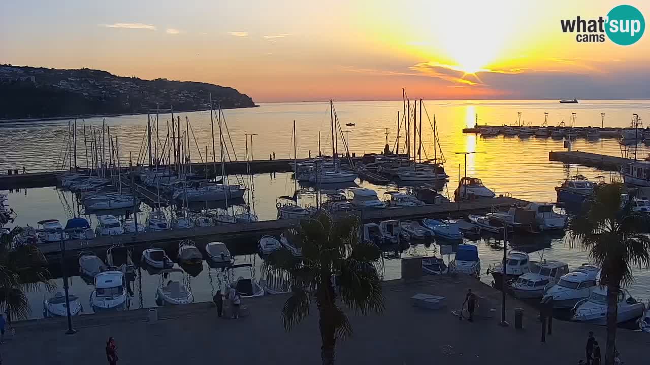 Spletna kamera Koper – Panorama na marino in promenado s Hotela Grand Koper
