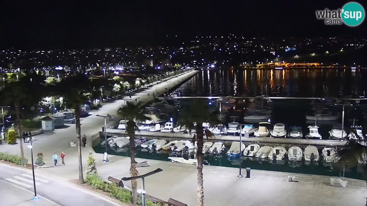 Luka Kopar uživo web kamera – Turistički terminal i teretna luka – Slovenija