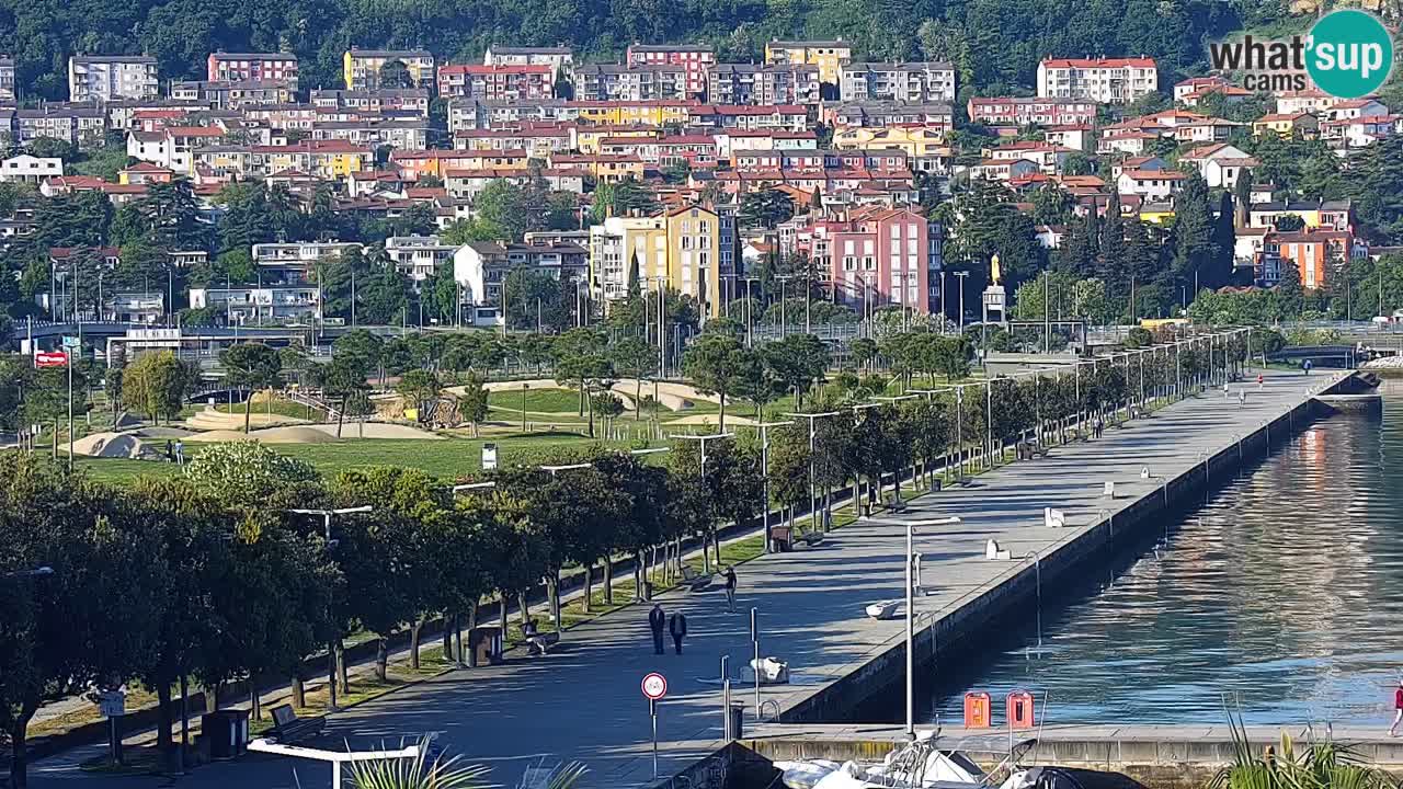 Livecam Koper – Ukmarjev trg