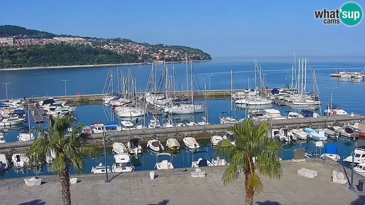 Livecam Koper – Ukmarjev trg