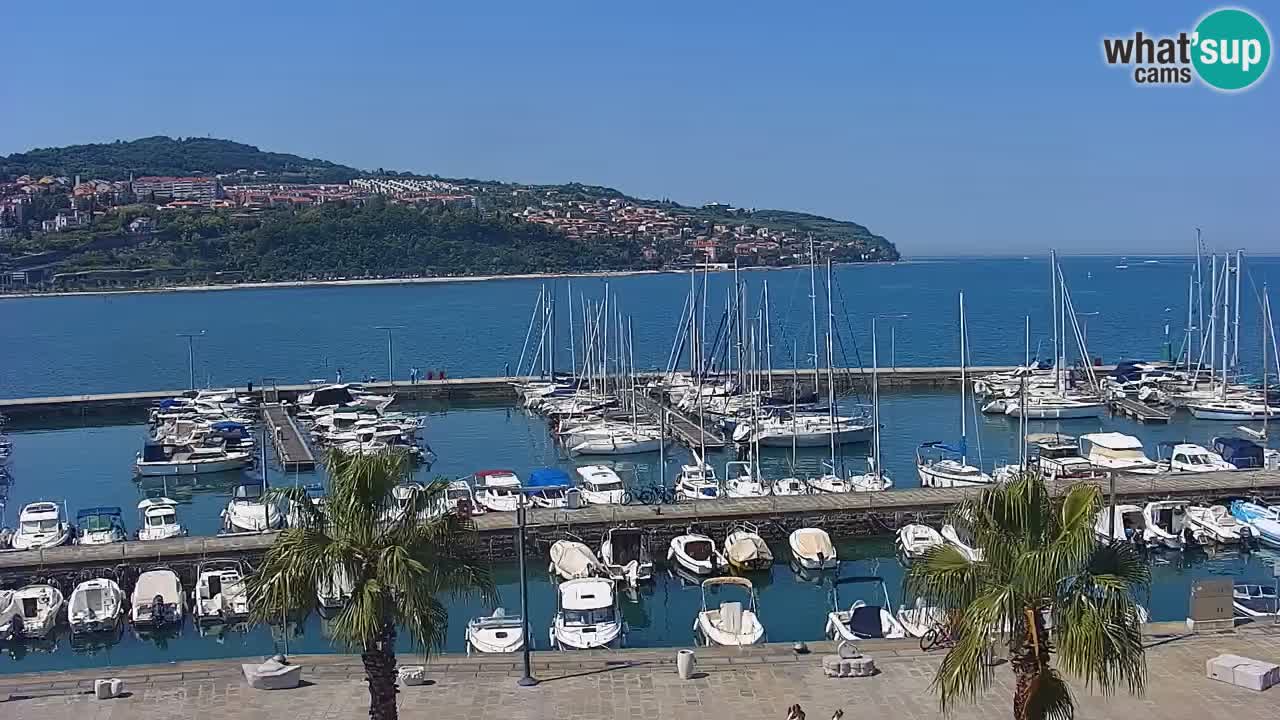 Livecam Koper – Ukmarjev trg