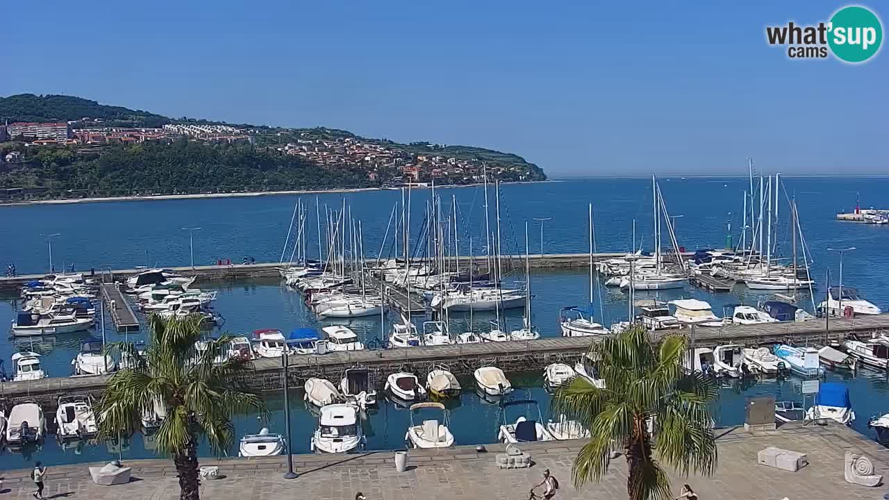 Webcam Koper – Panorama of the marina and promenade from the Grand Hotel Koper