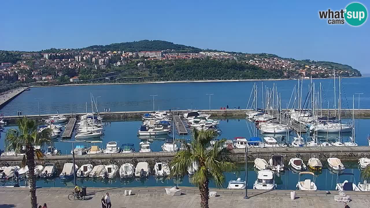 Web kamera Koper – marina i promenada – hotel Grand Koper