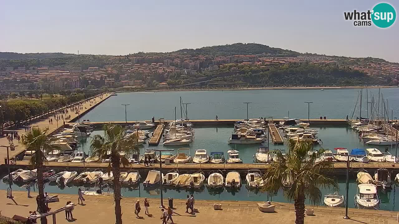 Webcam Koper – Panorama of the marina and promenade from the Grand Hotel Koper