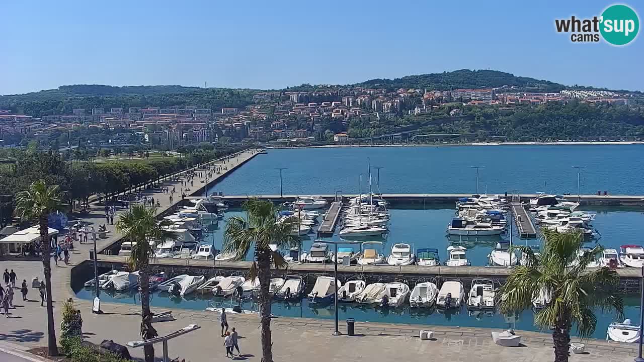 Webcam Koper – Panorama of the marina and promenade from the Grand Hotel Koper