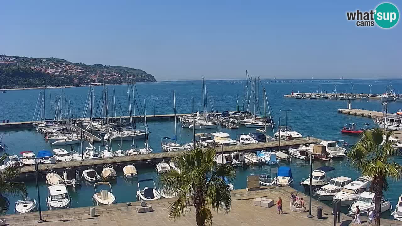 Der Hafen von Koper Live-Webcam – Kreuzfahrt- und Frachthafen – Slowenien