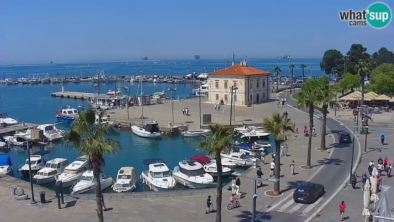 The Port of Koper live webcam – cruise and cargo port – Slovenia