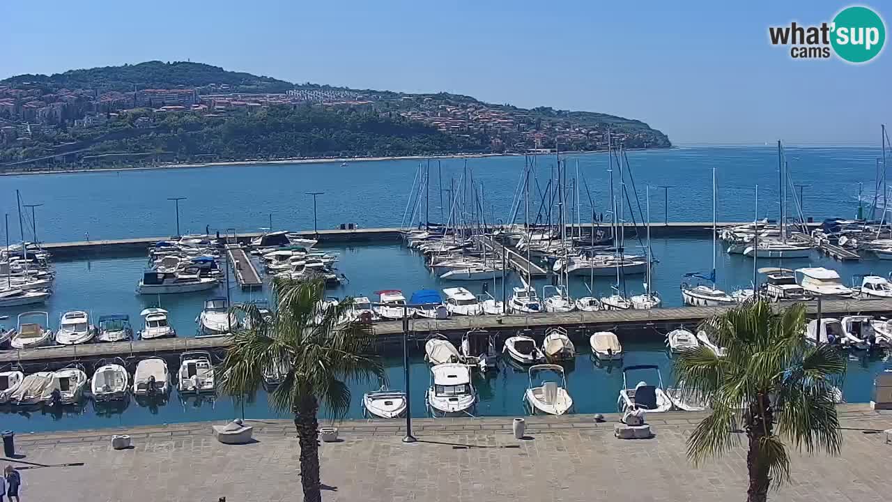 Livecam Koper – Ukmarjev trg