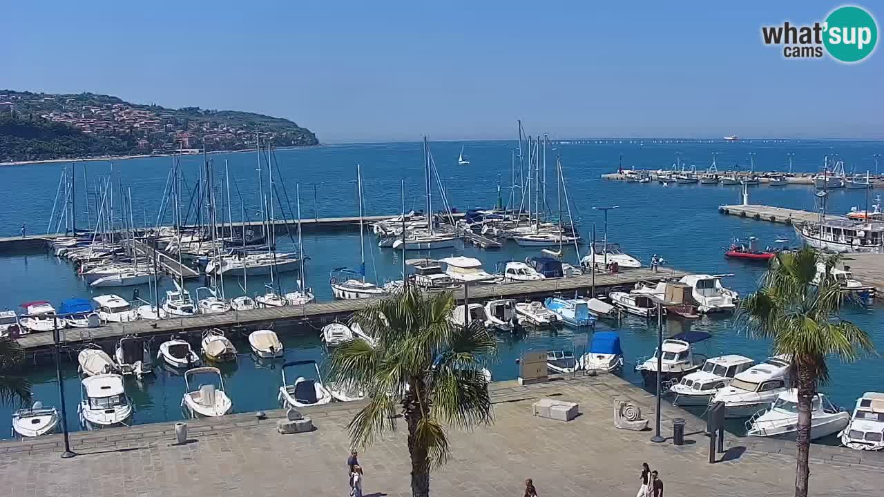 Livecam Koper – Ukmarjev trg