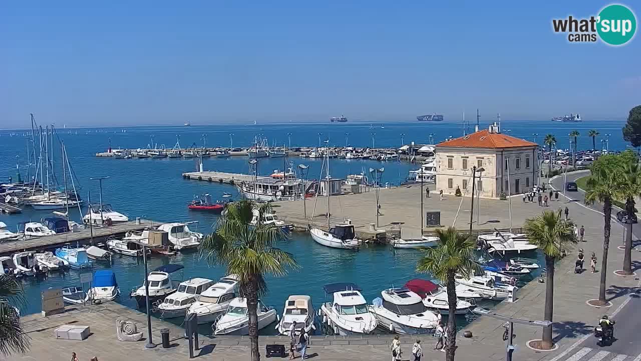 The Port of Koper live webcam – cruise and cargo port – Slovenia