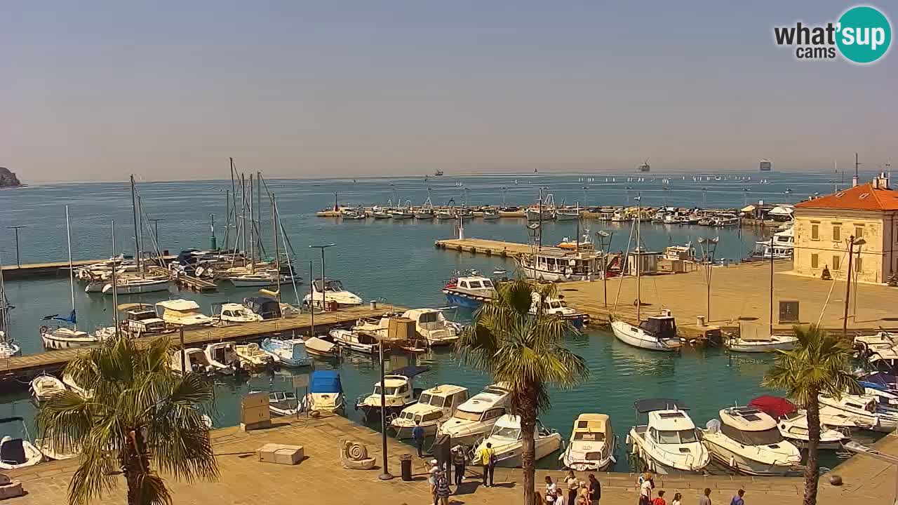 Webcam Koper – Panorama des Jachthafens und der Promenade vom Hotel Grand Koper