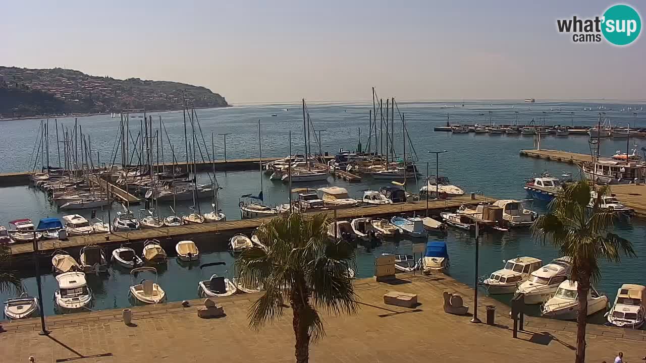 Web kamera Koper – marina i promenada – hotel Grand Koper