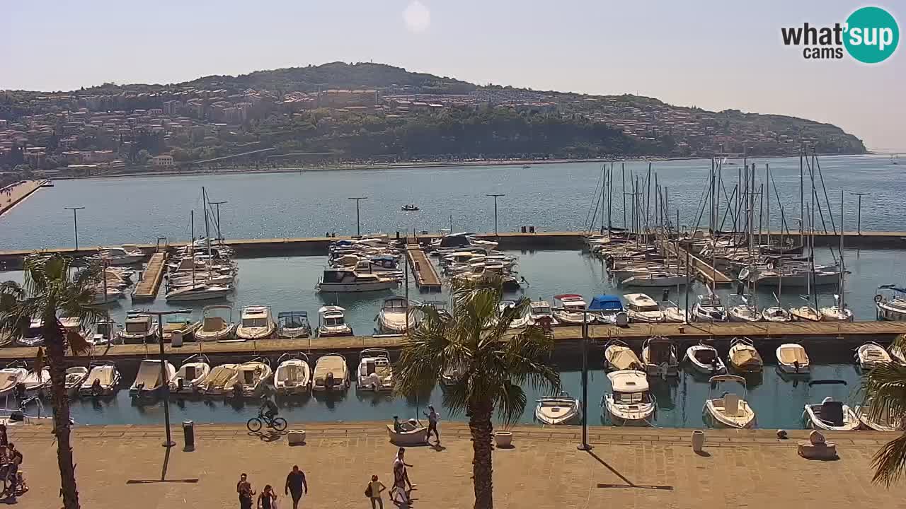 Webcam Koper – Panorama des Jachthafens und der Promenade vom Hotel Grand Koper