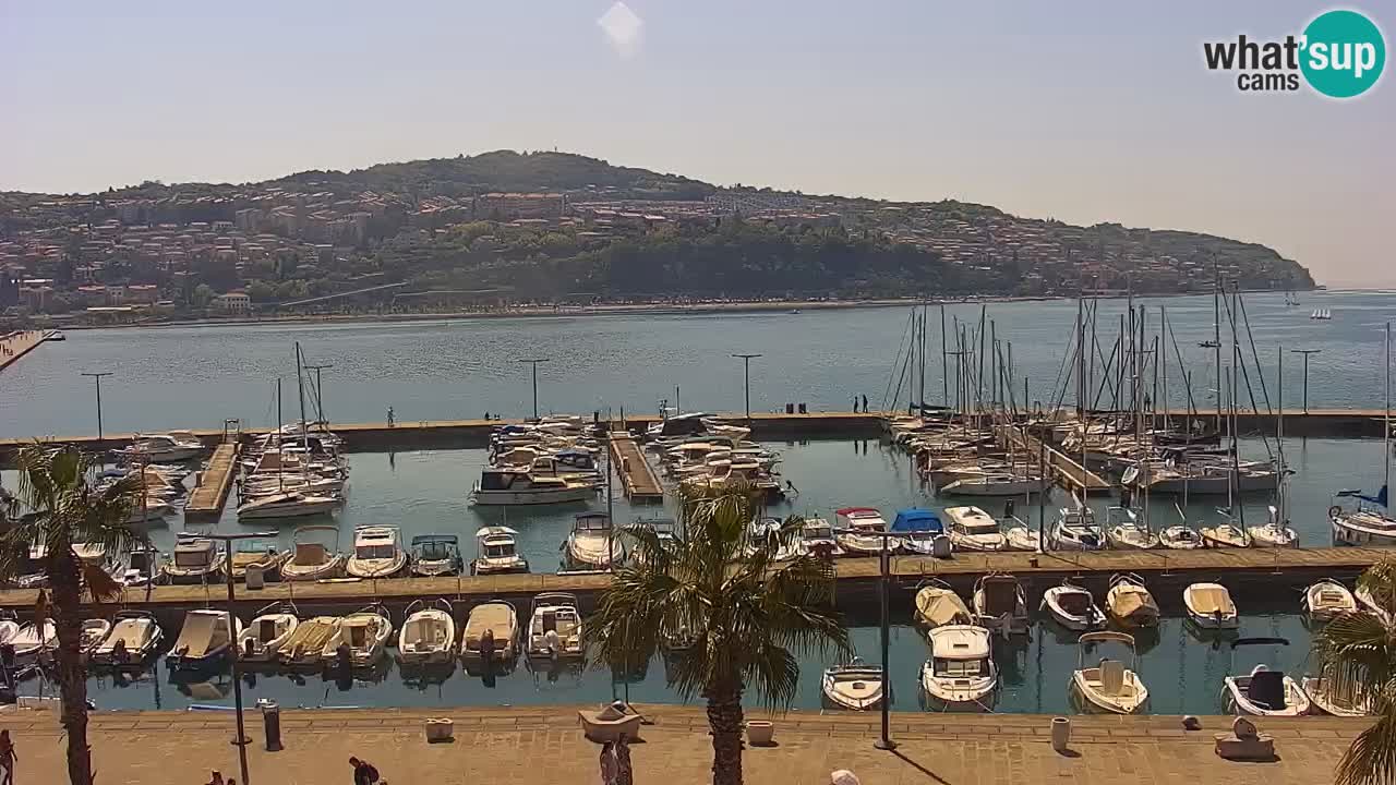 Camera en vivo Koper – puerto deportivo y paseo marítimo desde el Hotel Grand Koper