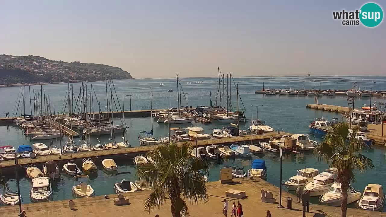 Webcam Koper – Panorama des Jachthafens und der Promenade vom Hotel Grand Koper