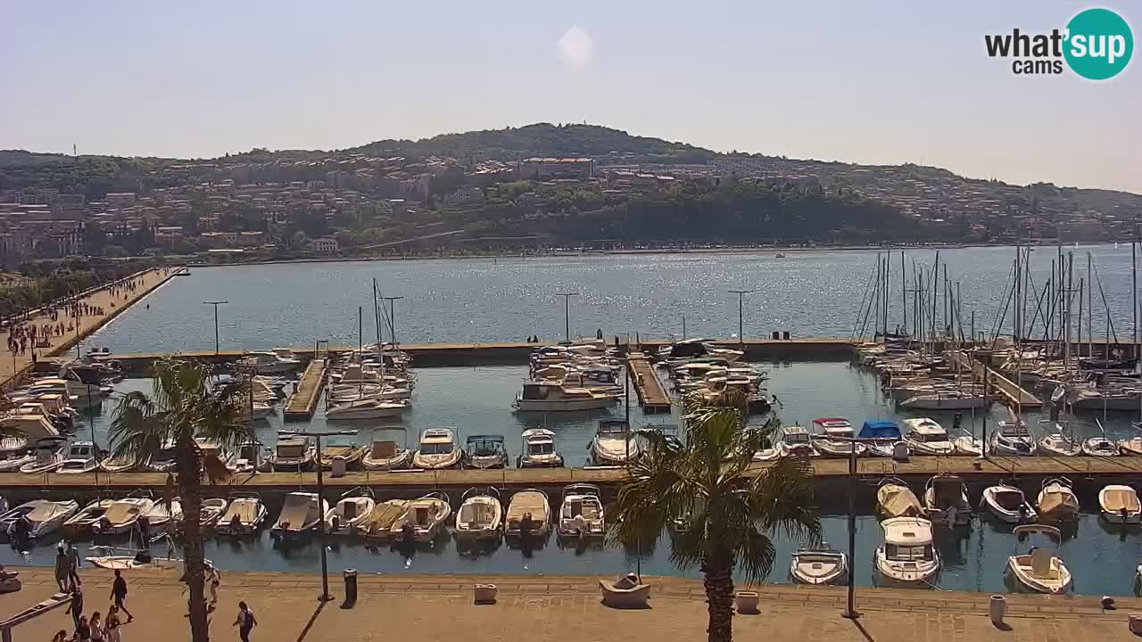 Der Hafen von Koper Live-Webcam – Kreuzfahrt- und Frachthafen – Slowenien