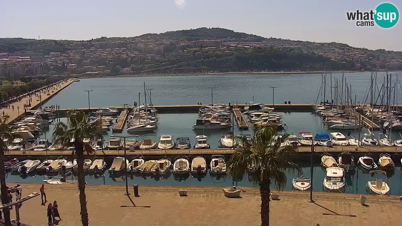 Der Hafen von Koper Live-Webcam – Kreuzfahrt- und Frachthafen – Slowenien