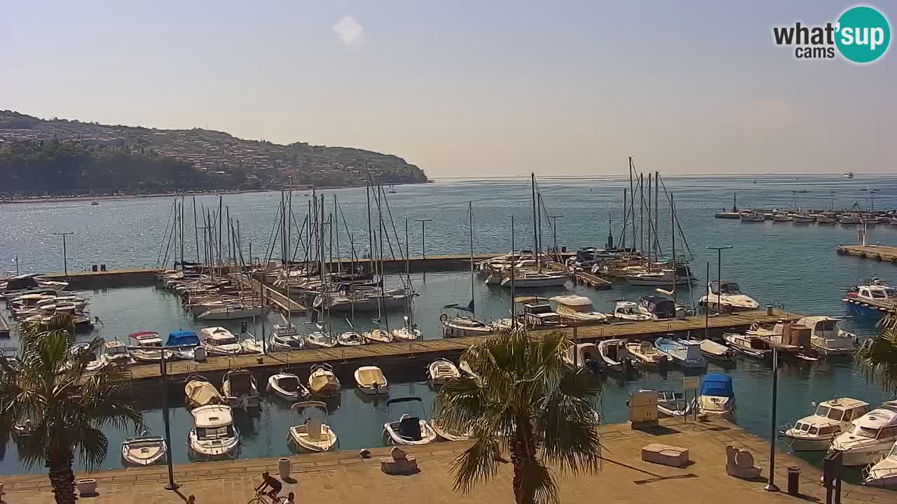 Webcam Koper – Panorama de la marina et de la promenade depuis le Grand Hotel Koper