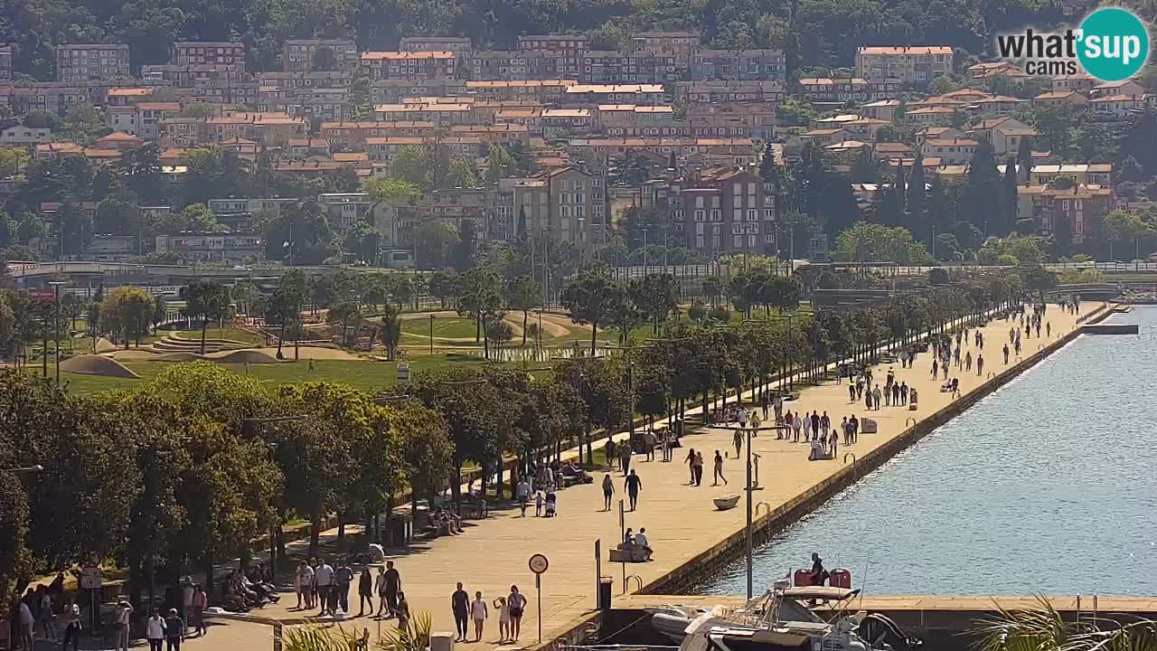 The Port of Koper live webcam – cruise and cargo port – Slovenia