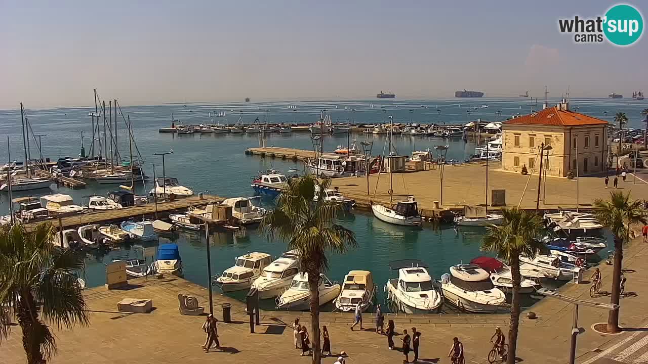 Spletna kamera Luka Koper v živo – Potniški terminal in tovorno pristanišče – Slovenija