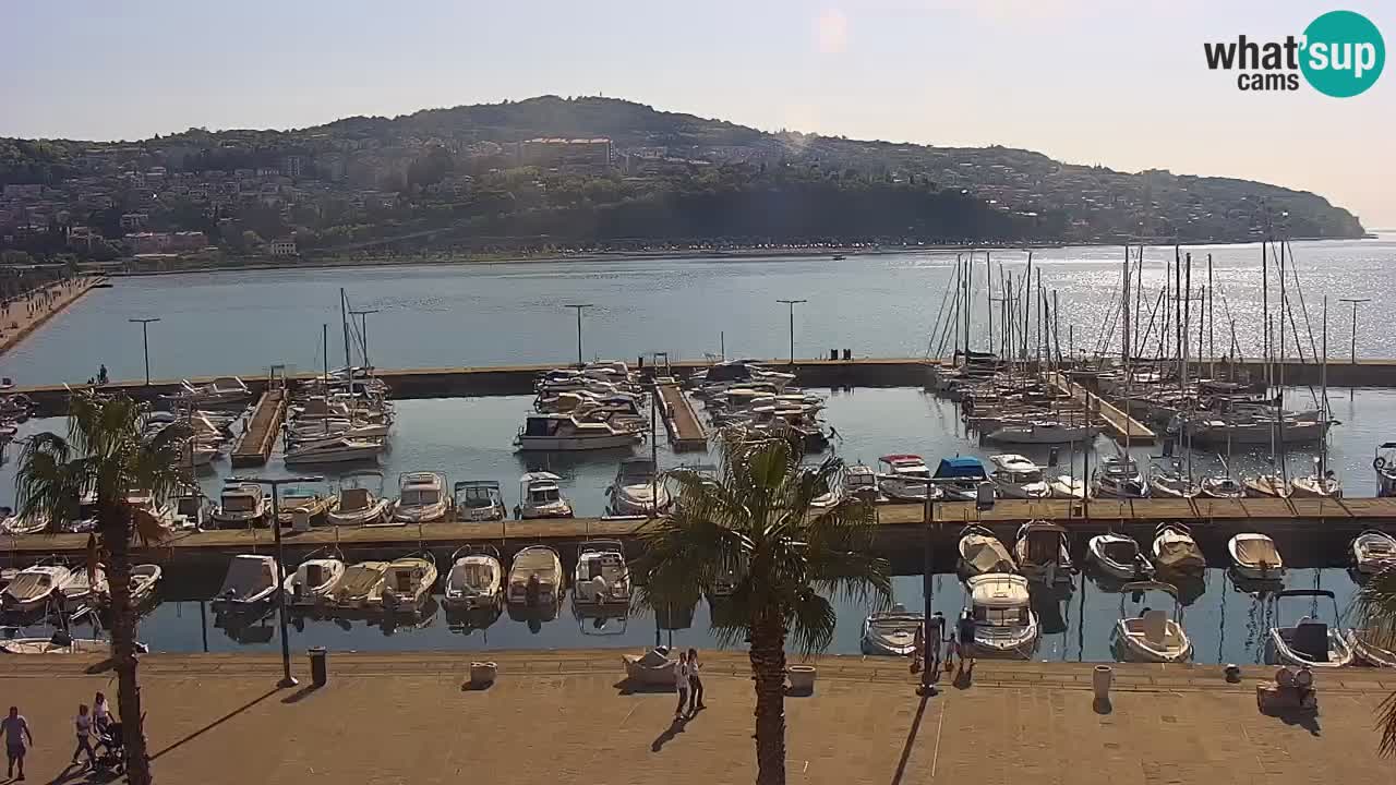 Spletna kamera Luka Koper v živo – Potniški terminal in tovorno pristanišče – Slovenija