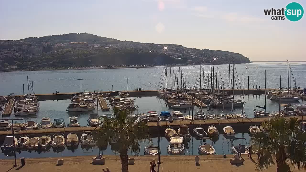 Der Hafen von Koper Live-Webcam – Kreuzfahrt- und Frachthafen – Slowenien