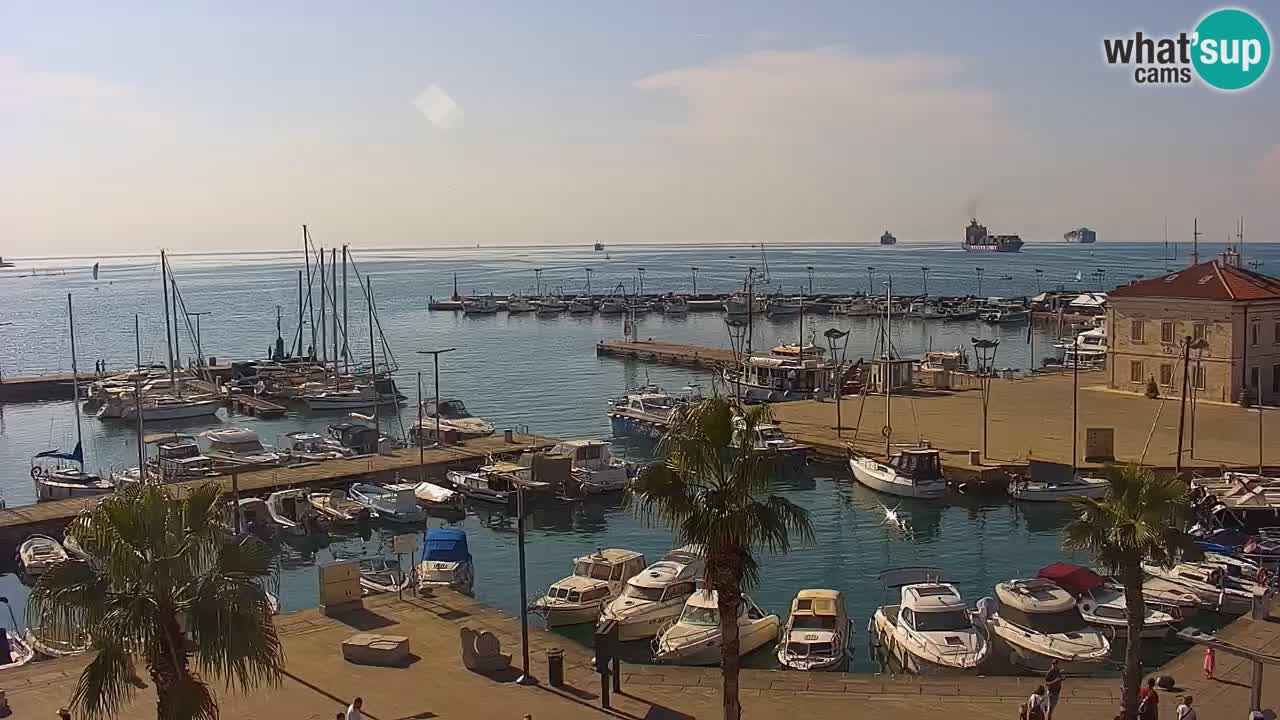 Der Hafen von Koper Live-Webcam – Kreuzfahrt- und Frachthafen – Slowenien